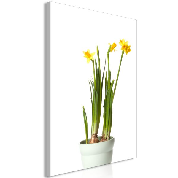 Tableau Fleurs Narcissus (1 Part) Vertical