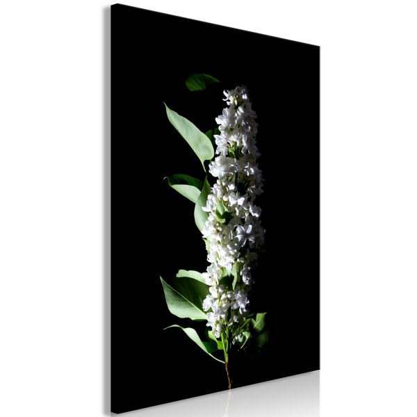 Tableau Fleurs White Lilacs (1 Part) Vertical