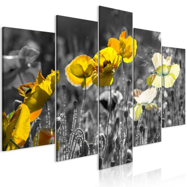 Tableau Fleurs Yellow Poppies (5 Parts) Wide