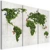 Tableau Cartes du monde Monde vert des papillons - triptyque