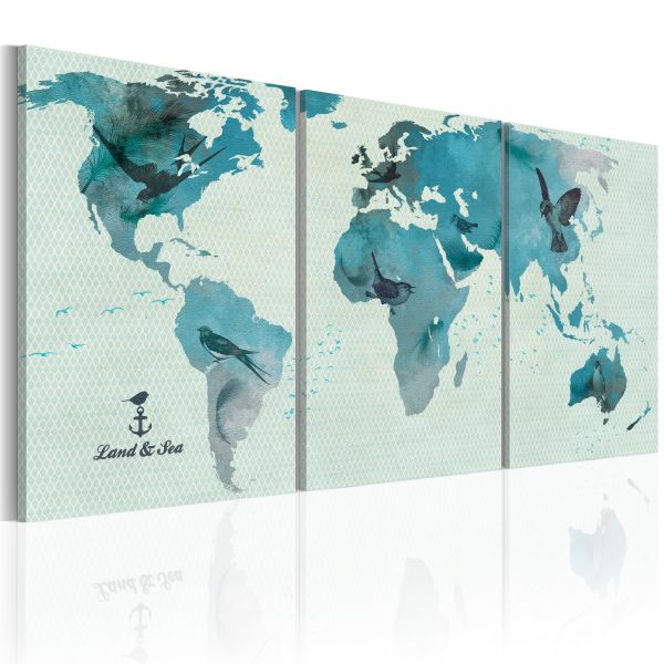 Tableau Cartes du monde Carte ornithologique du monde