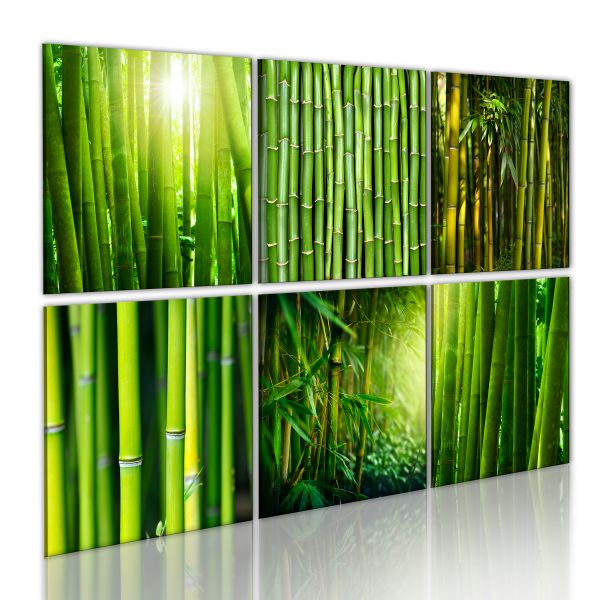 Tableau Zen Nombreux visages du bambou