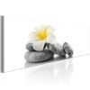 Tableau Zen White Lotus