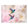 Papier peint intissé Animaux Colourful Hummingbirds (Pink)