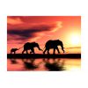 Papier peint intissé Animaux éléphants: famille