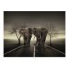 Papier peint intissé Animaux Ville d'éléphants
