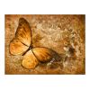 Papier peint intissé Animaux butterfly (sepia)