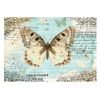 Papier peint intissé Animaux Postcard with butterfly