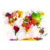 Papier peint intissé Carte du monde Dyed World