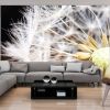 Papier peint intissé Fleurs Fluffy dandelion