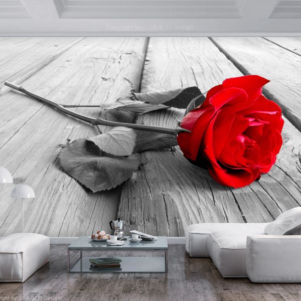Papier peint intissé Fleurs Abandoned Rose