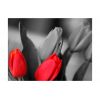 Papier peint intissé Fleurs Tulipes rouges sur fond noir et blanc