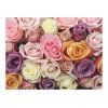Papier peint intissé Fleurs Pastel roses