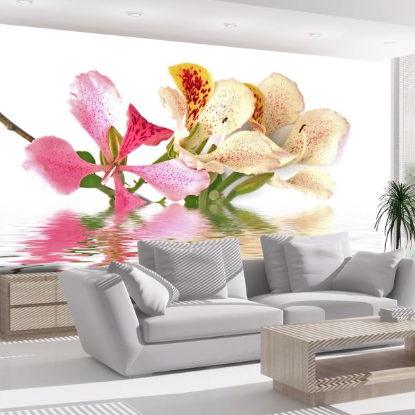 Papier peint intissé Fleurs Fleurs tropicales - arbre aux orchidées (bauhinia)