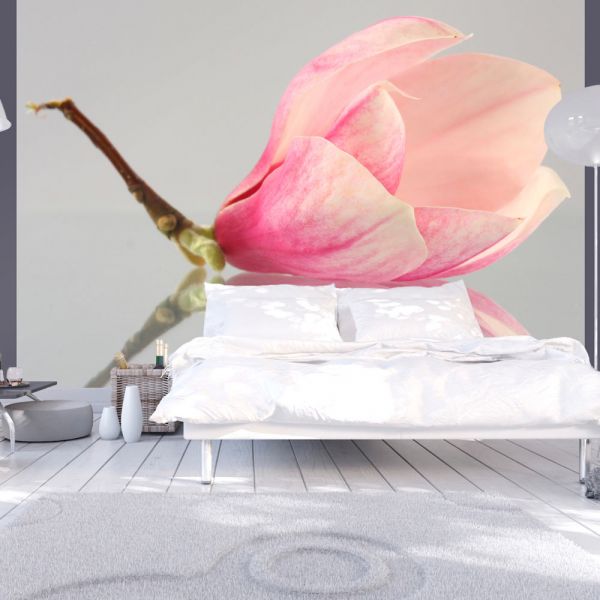 Papier peint intissé Fleurs Fleur de magnolia solitaire