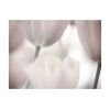 Papier peint intissé Fleurs Tulips fine art - black and white