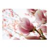 Papier peint intissé Fleurs Magnolia rose