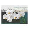Papier peint intissé Fleurs Orchidées - inspiration du poète