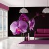 Papier peint intissé Fleurs de bon goût orchidée