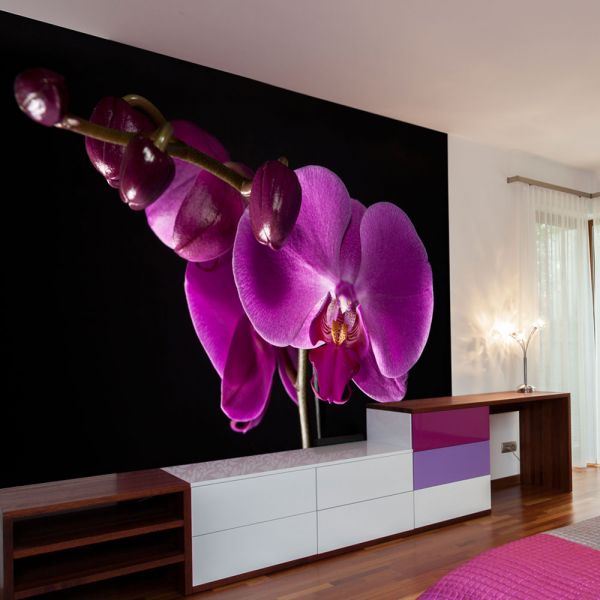 Papier peint intissé Fleurs élégant orchidée