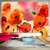 Papier peint intissé Fleurs Velvet poppies 1