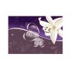 Papier peint intissé Fleurs Lily in shades of violet