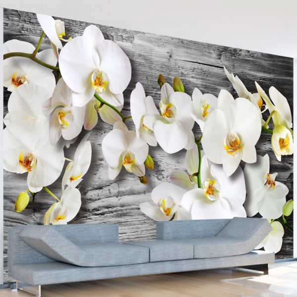 Papier peint intissé Fleurs Callous orchids III