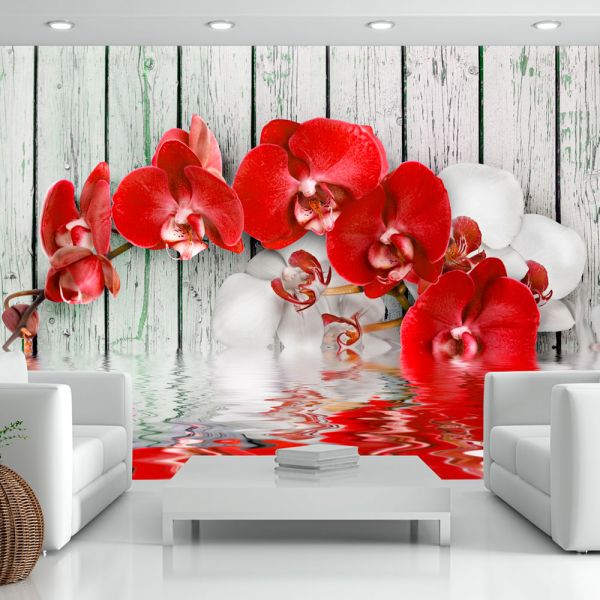 Papier peint intissé Fleurs Ruby orchid
