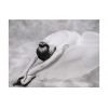 Papier peint intissé Hobby photographie: ballerine