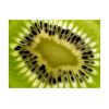 Papier peint intissé Motifs de cuisine fruits: kiwi