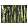 Papier peint intissé Orient Bamboo Exotic