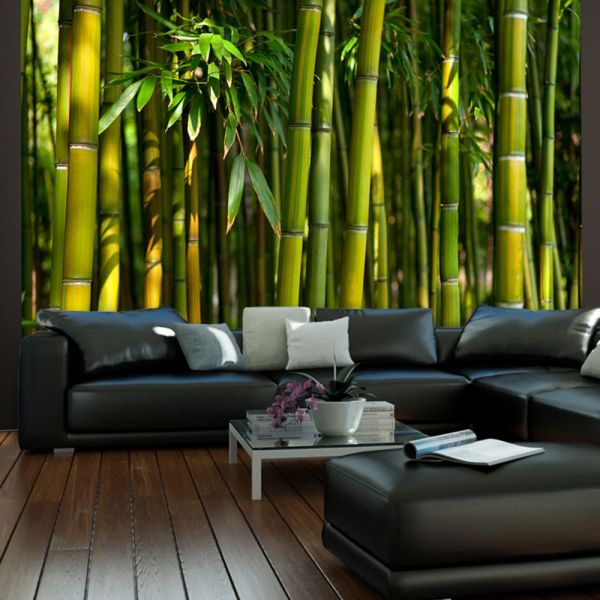 Papier peint intissé Orient Forêt de bambous asiatique