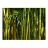 Papier peint intissé Orient Forêt de bambous asiatique