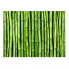 Papier peint intissé Orient Mur vert bambou