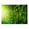 Papier peint intissé Orient jungle - bambou