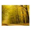 Papier peint intissé Paysages Route dans la forêt d'automne