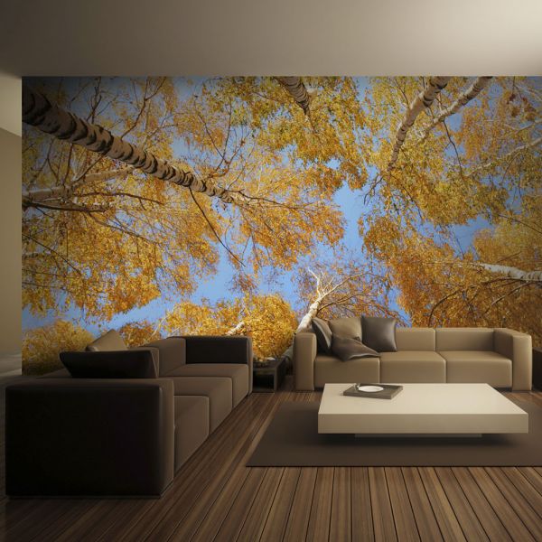 Papier peint intissé Paysages Arbres d'automne