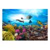 Papier peint intissé Paysages Coral reef