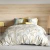 Parure de drap 180x290 3 pièces avec Drap housse 90x190 cm Coton Colize