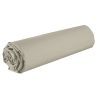 Drap housse 160x200 +35 cm Coton 57 fils Latte