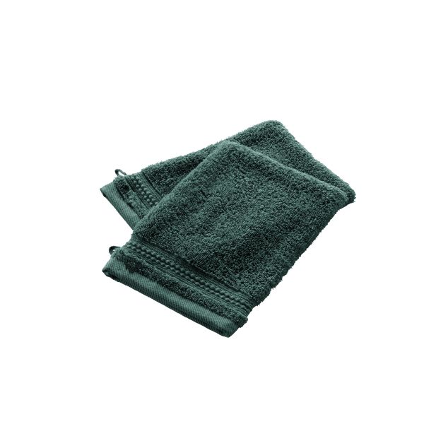 Lot de 2 gants 15x21 cm Coton Emeraude