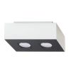 Plafonnier Acier Blanc/Noir GU10 2 Mono