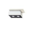 Plafonnier Acier Blanc/Noir GU10 2 Mono