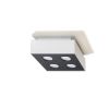 Plafonnier Acier Blanc/Noir GU10 4 Mono