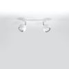 Plafonnier Acier Blanc GU10 2 Oculare