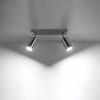 Plafonnier Acier Chrome GU10 2 Ring