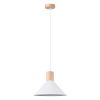 Suspension Acier Blanc E27 1 Jaga