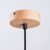 Suspension Acier Noir E27 1 Fano