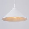 Suspension Acier Blanc E27 1 Zuma