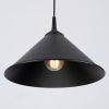 Suspension Acier Noir E27 1 Zuma